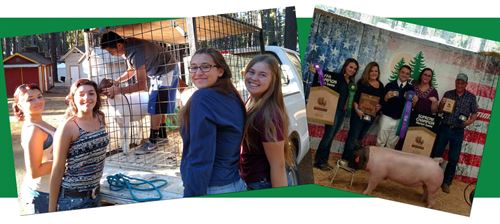AG-Animal Science Pathway